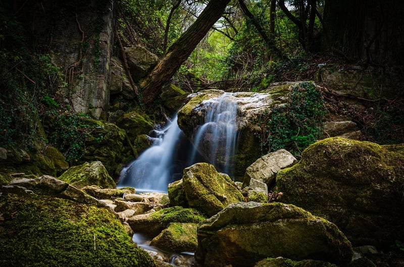 Waterfall in the Jungle